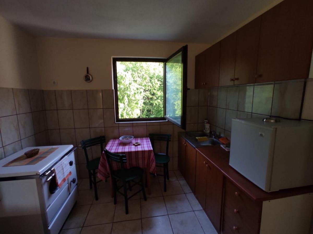 Apartmani Jana Bijelo Polje Exterior photo